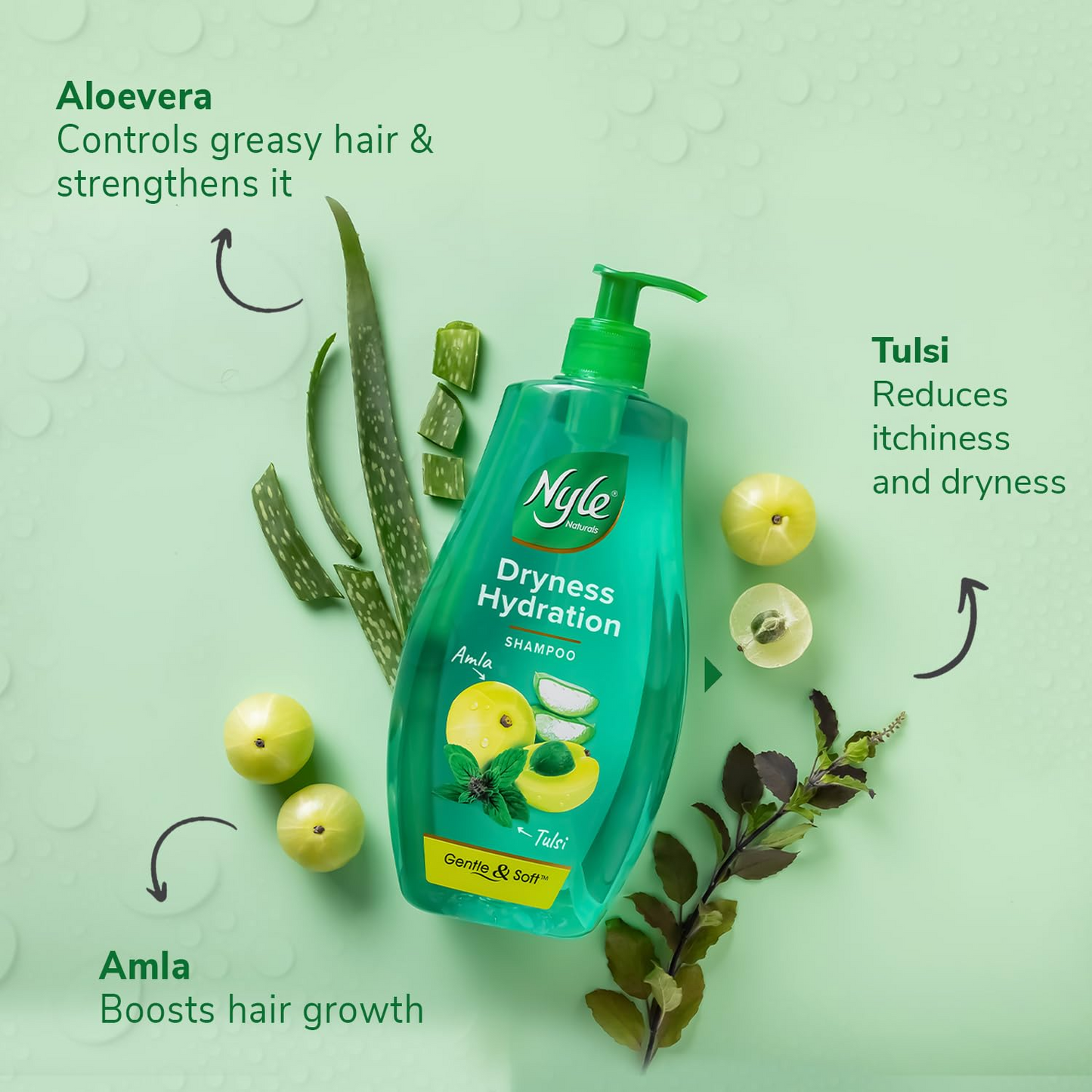 Nyle Naturals Dryness Hydration Shampoo| For Dry & Frizz Free Hair | With Tulsi, Amla and Aloe Vera|Gentle & Soft Shampoo | For Men & Women | 800ml