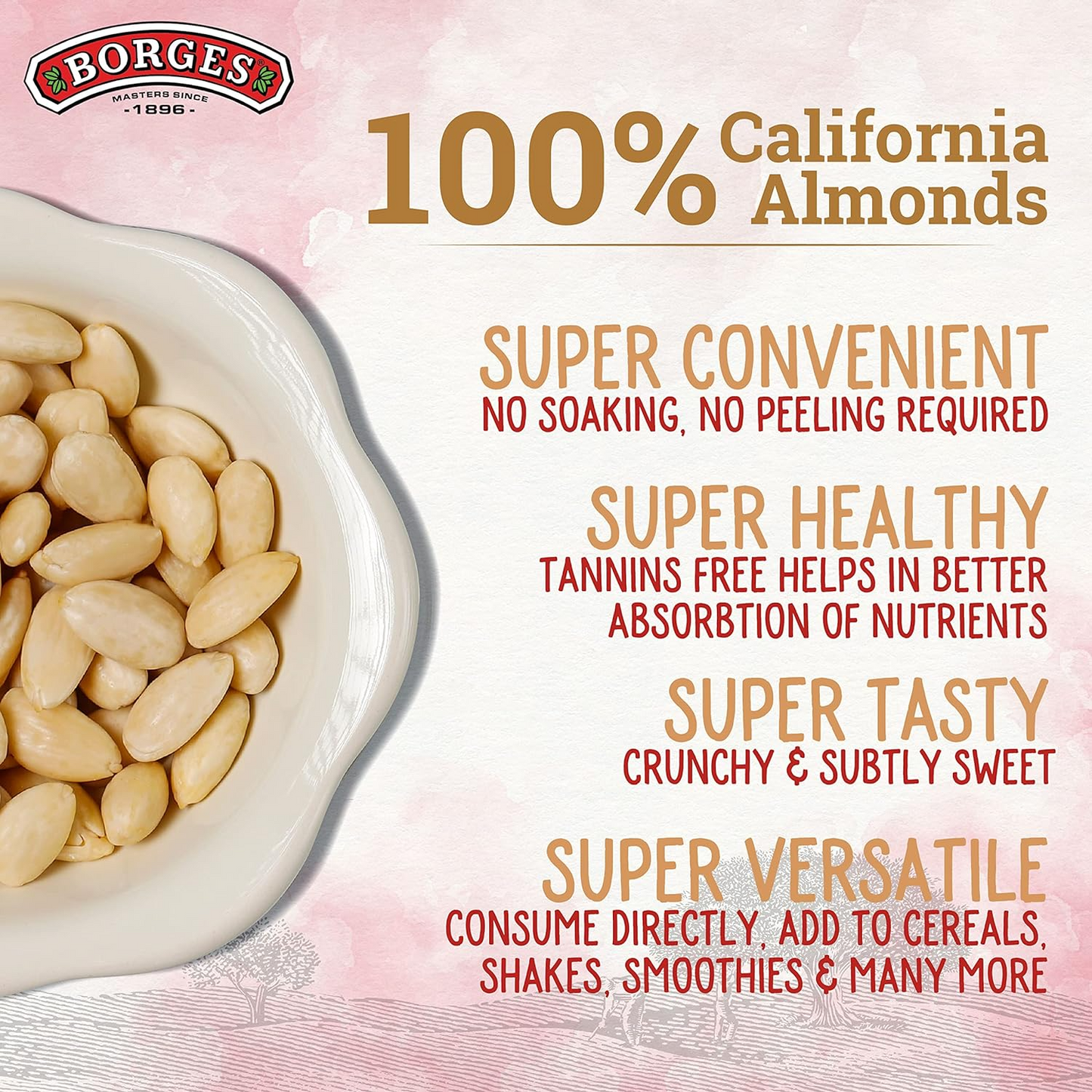 Borges Blanched & Peeled Raw Almonds 400g