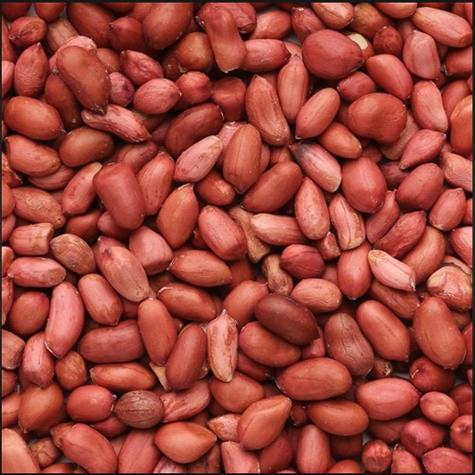 Premium Quality Raw Loose Peanut